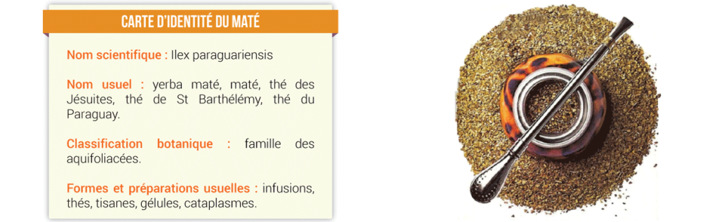 Carte-d'identite-Mate