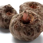 fruit-konjac-pour-perte-de-poids