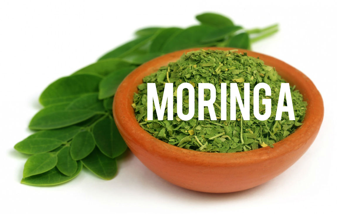Moringa Blog