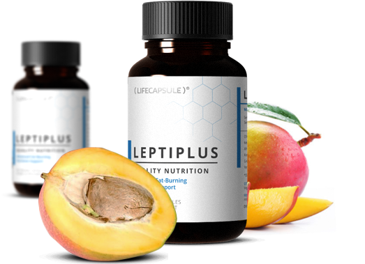 leptiplus-boite