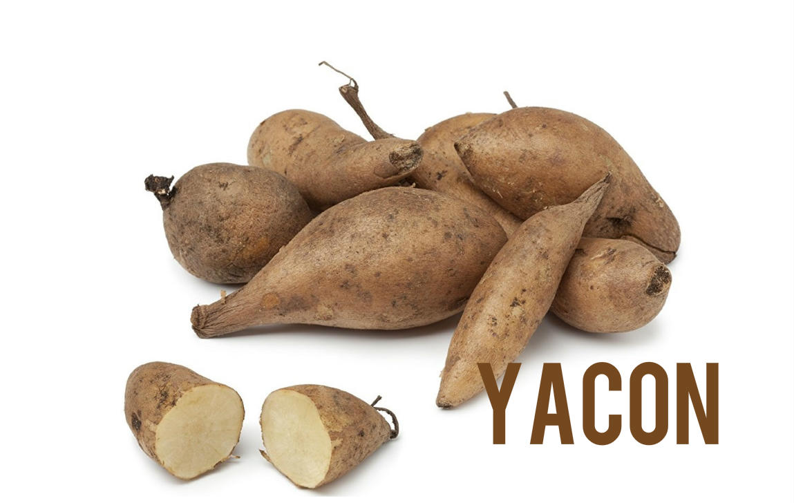 Yacon Blog