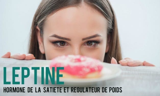 Hormone de la satiété - Maigrir Hormone de la satiété - Maigrir