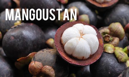 Le Mangoustan, le petit frère du Garcinia Gambogia!