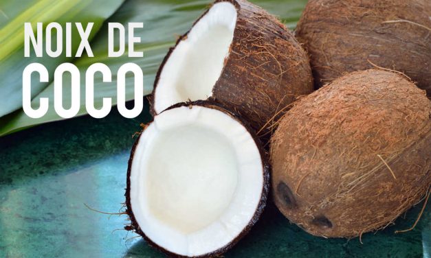 Noix de coco, le fruit aux multiples vertus mieux-être