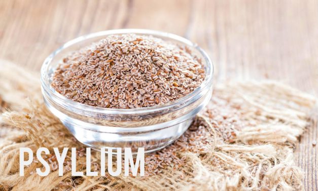 Psyllium, un ami minceur qui veut du bien au tube digestif