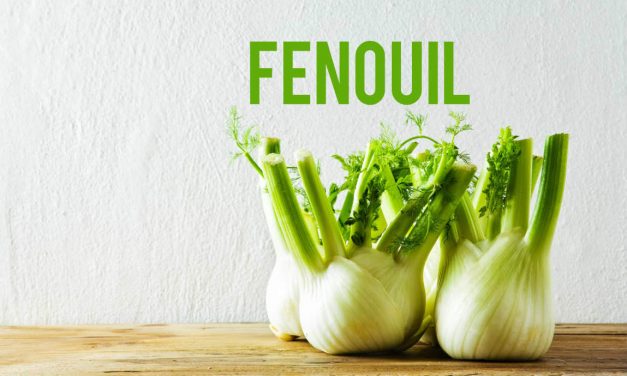 Fenouil, une plante-légume aux vertus minceur avérées