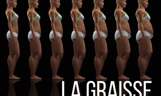 La graisse, ce qu’il faut réellement savoir à son sujet