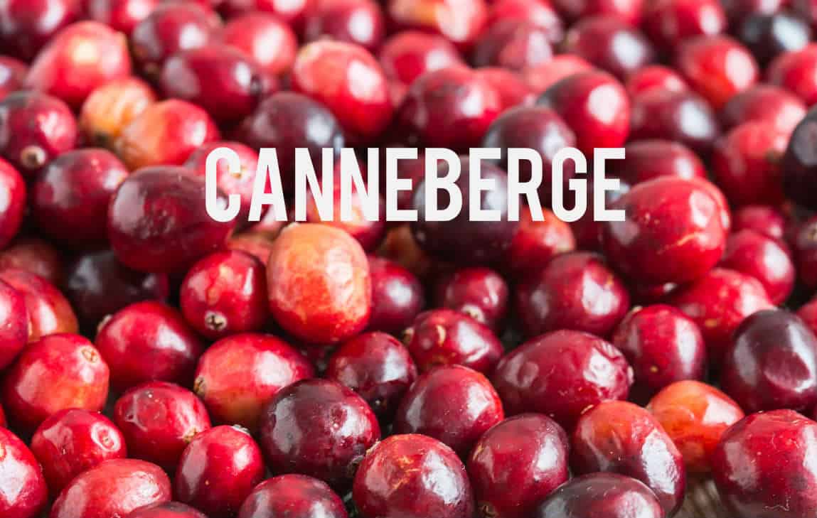 Canneberge pour maigrir Blog
