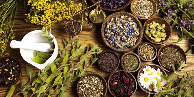 Cure Detox Dextrom aux extraits de plantes