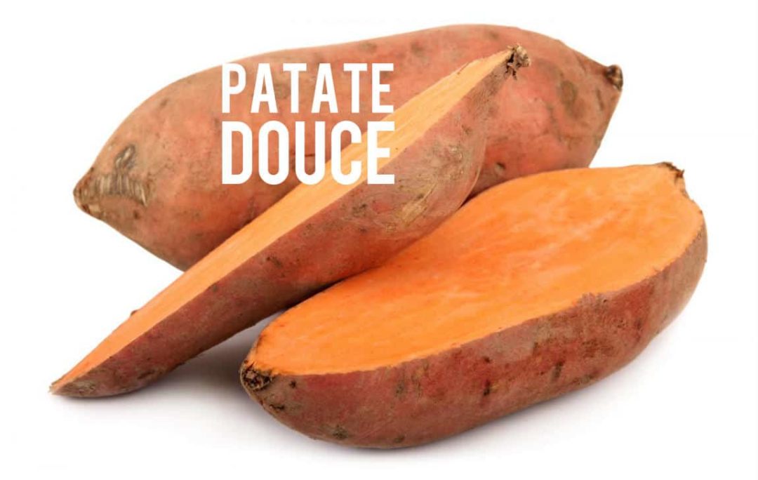 Patate Fayot C'est Le Regime De La Colo